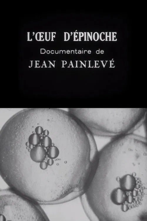 The Stickleback's Eggs movie poster