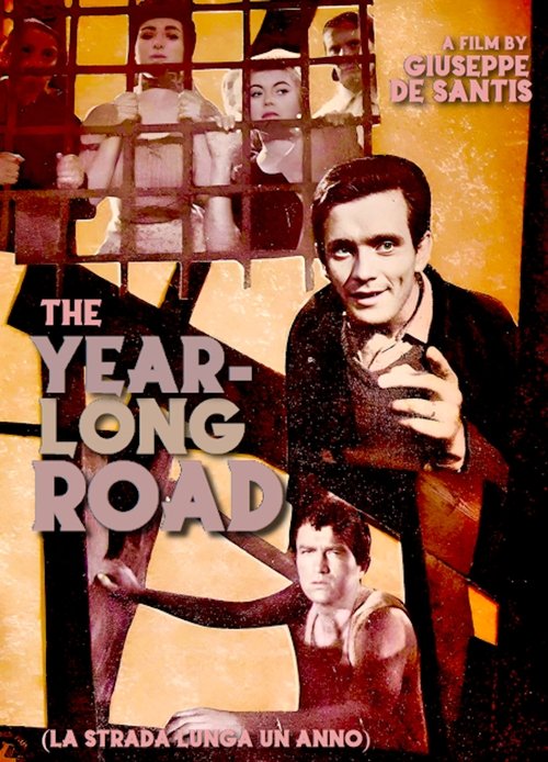 The Year Long Road movie poster