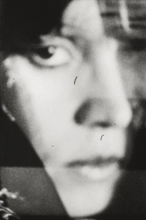 Fernando21 movie poster