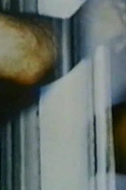 Poster do filme Phases of the Moon: The Parapsychology of Everyday Life