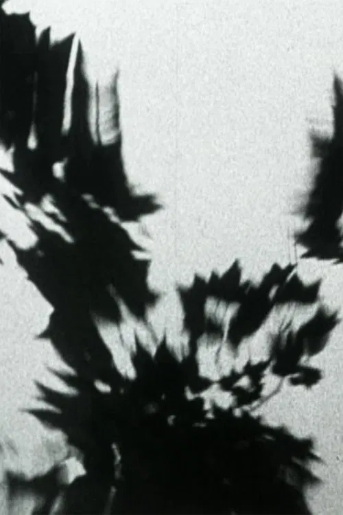 Sheller Shares Her Secret movie poster