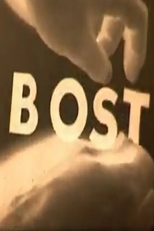 Poster do filme Bost