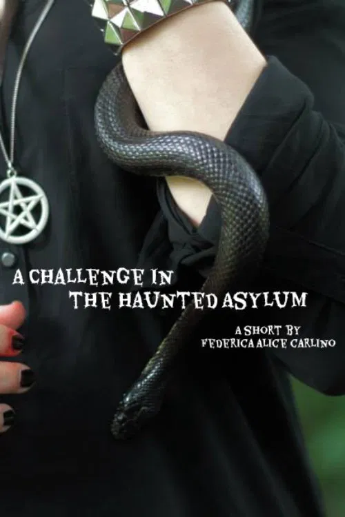 A Challenge in the Haunted Asylum movie poster