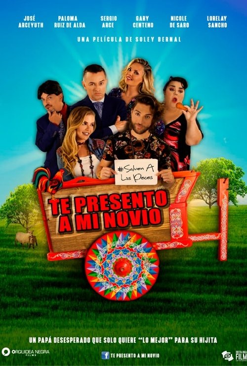 Te presento a mi novio movie poster