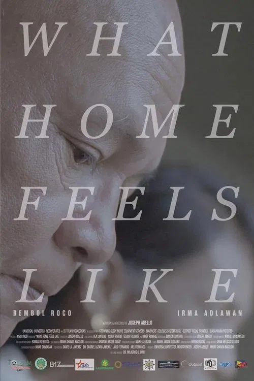 What Home Feels Like movie poster