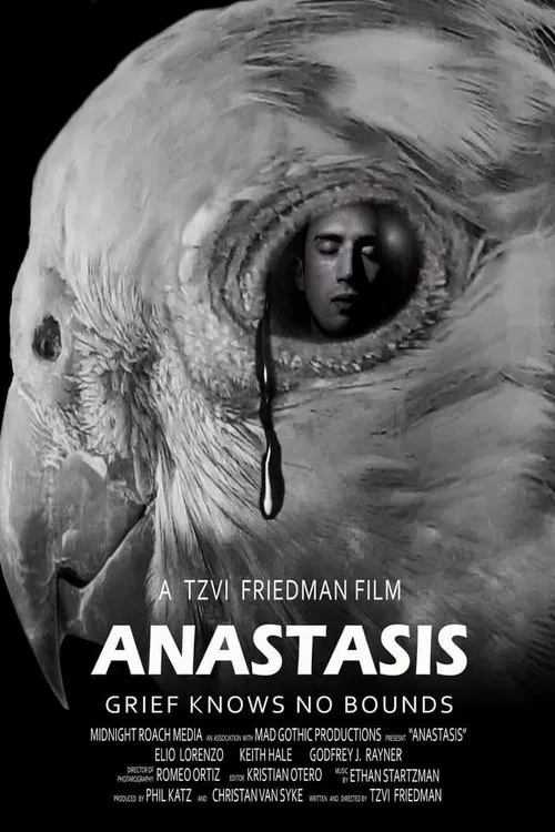 Anastasis movie poster