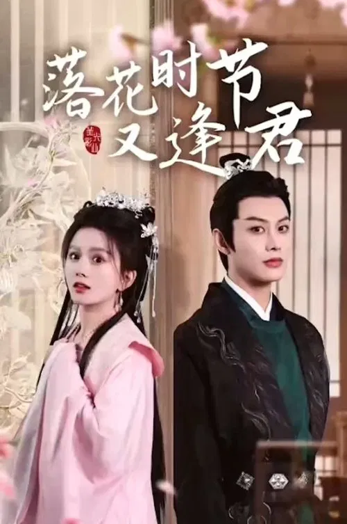 Poster da série 落花时节又逢君