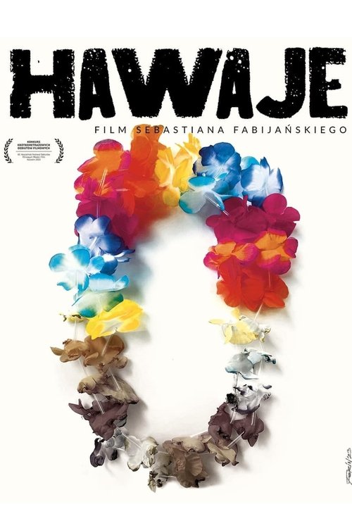 Hawaii movie poster