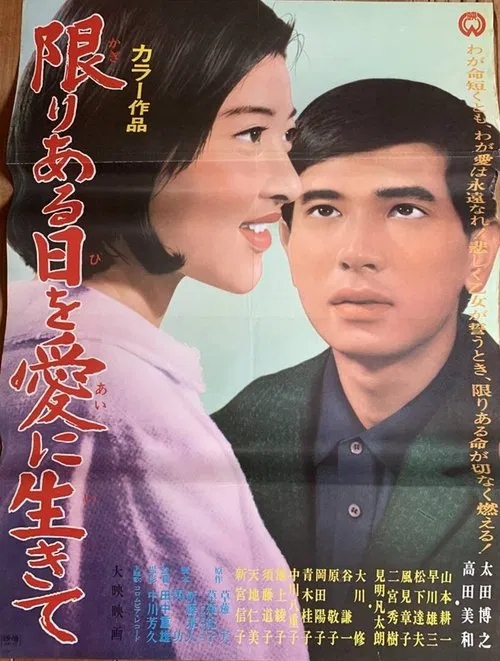 The Suitors movie poster
