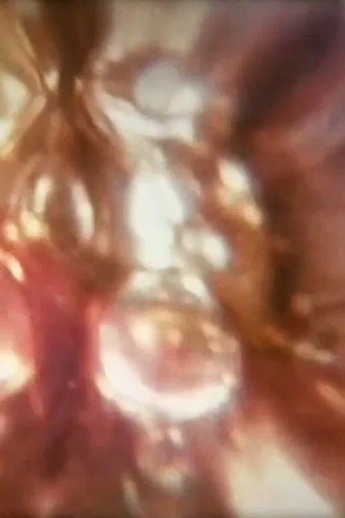 Aphrodisiac I movie poster