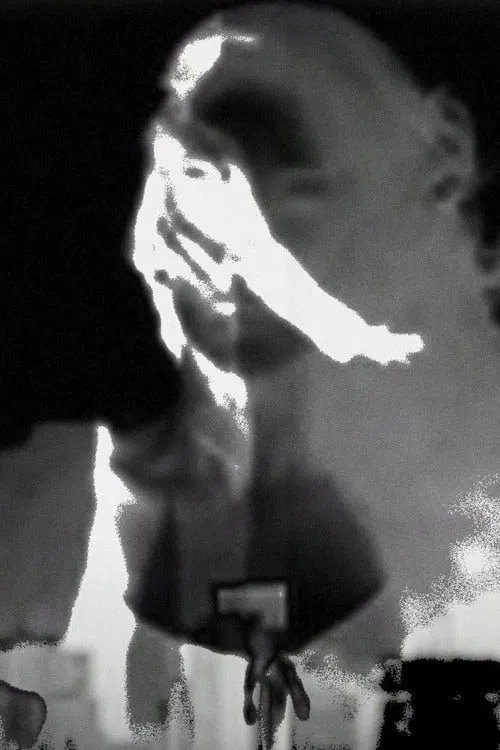 Extraordinário Travelling movie poster