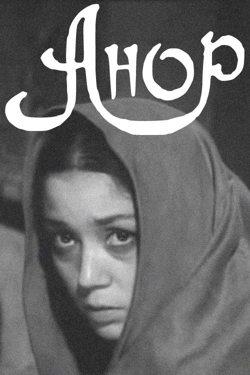 Poster do filme Anor