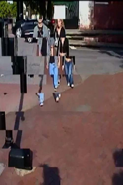 A Walk With You movie poster