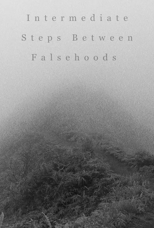 Poster do filme Intermediate Steps Between Falsehoods