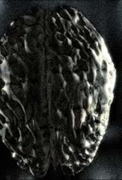 Headcleaner movie poster