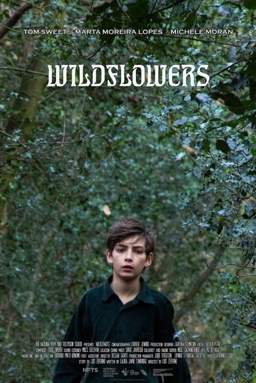 Wildflowers movie poster