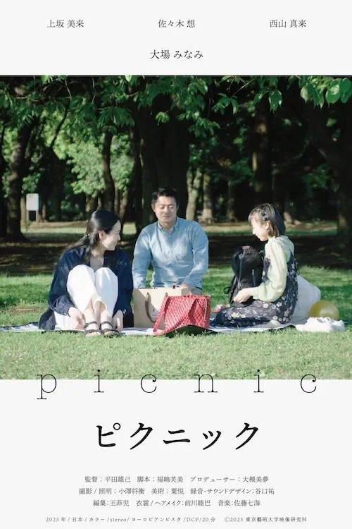 Picnic movie poster