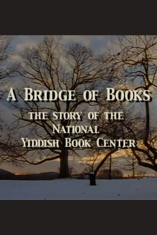 A Bridge of Books movie poster