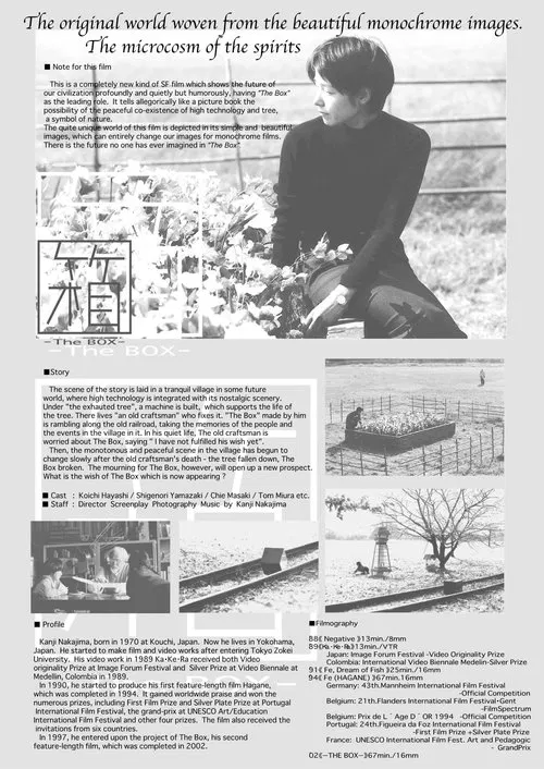 Poster do filme The Box