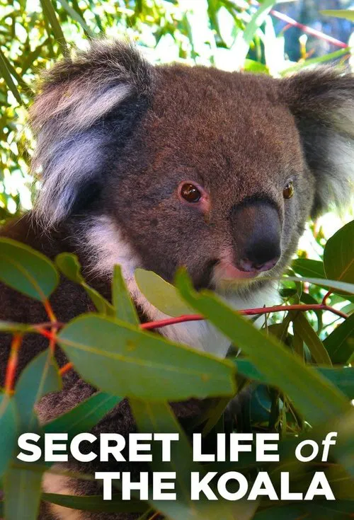 Secret Life of the Koala tv show poster