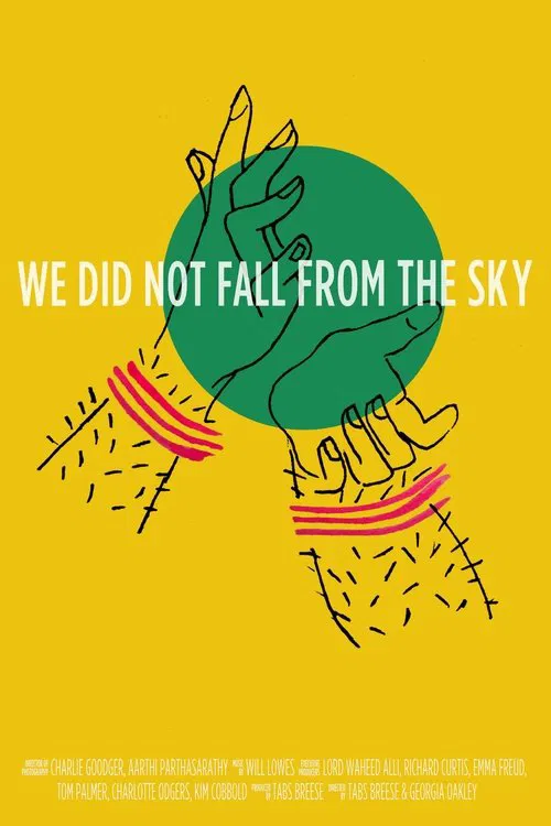 We Did Not Fall from the Sky movie poster