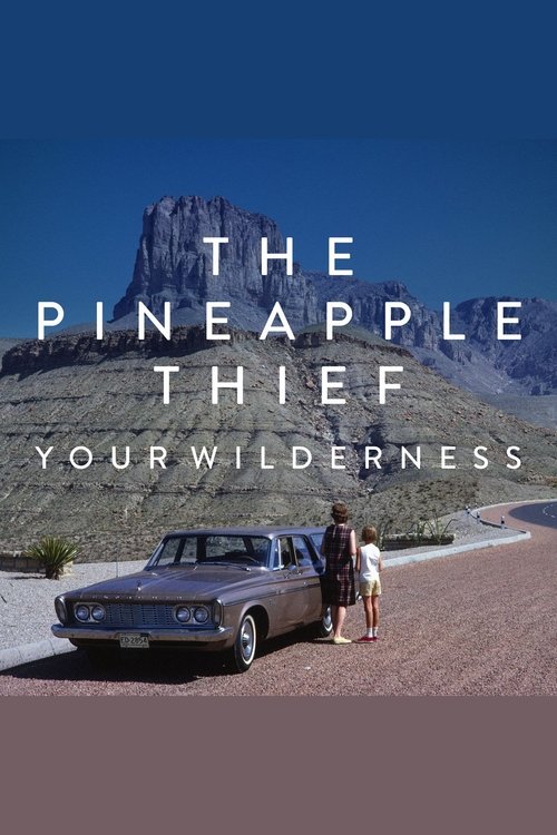 The Pineapple Thief: Your Wilderness movie poster