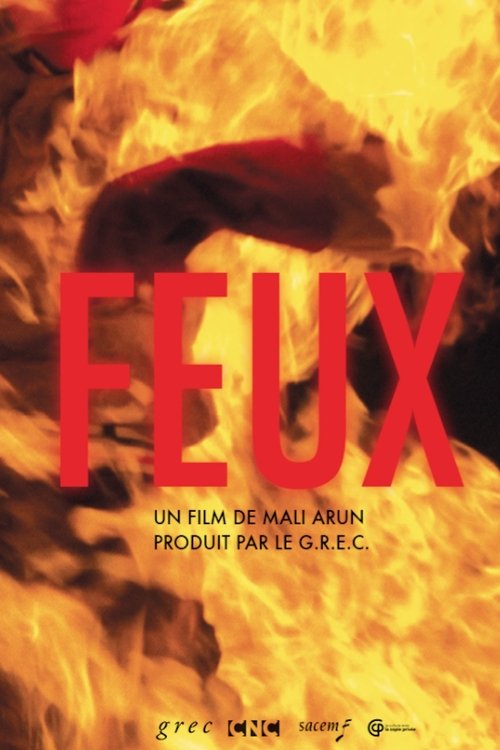 Feux movie poster