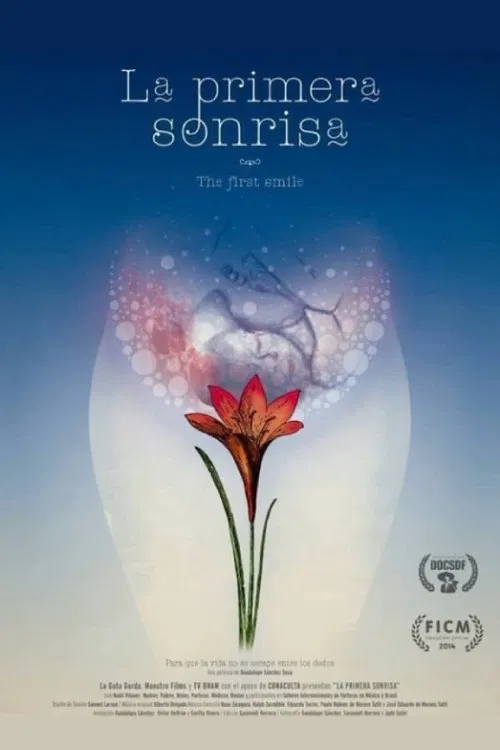 Poster do filme The First Smile