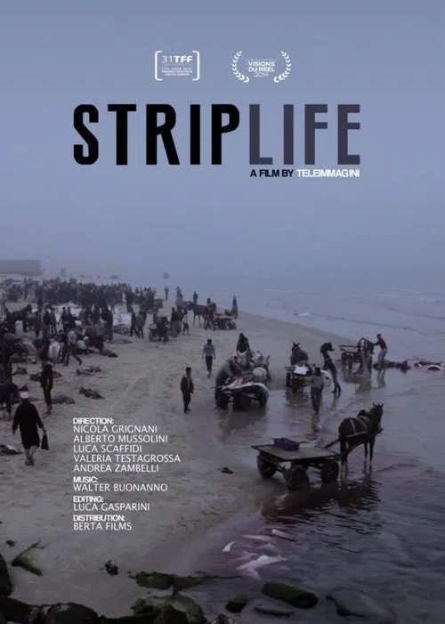 Striplife movie poster