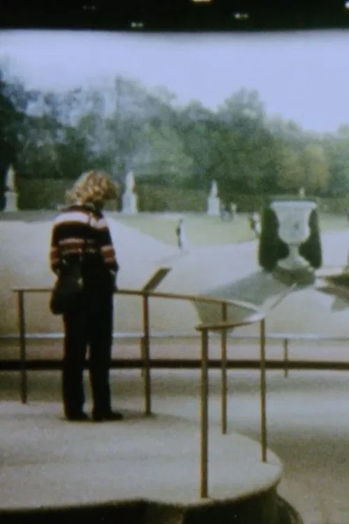 The Odyssey of Panoramas movie poster