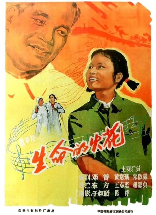 生命的火花 movie poster