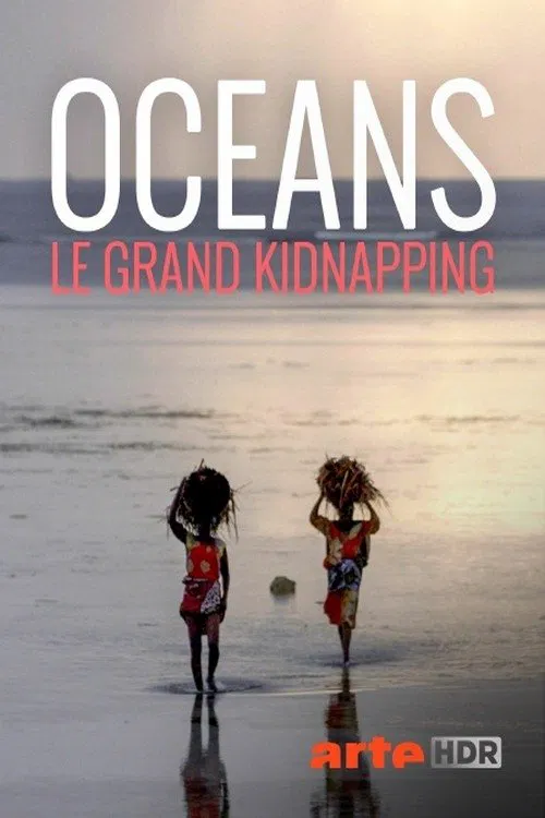 Wem gehört das Meer? Ocean Grabbing - Die neue Meeresordnung movie poster