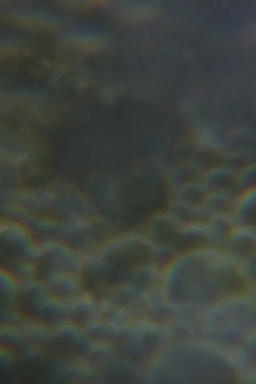 The Nursery of Worlds movie poster