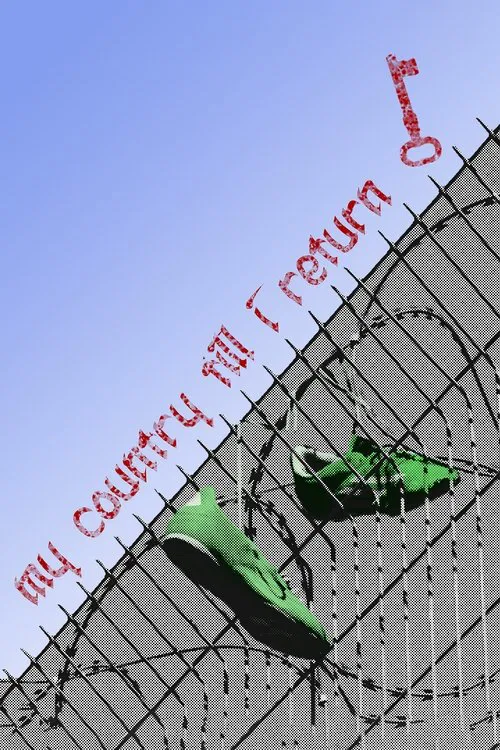 My Country Till I Return movie poster