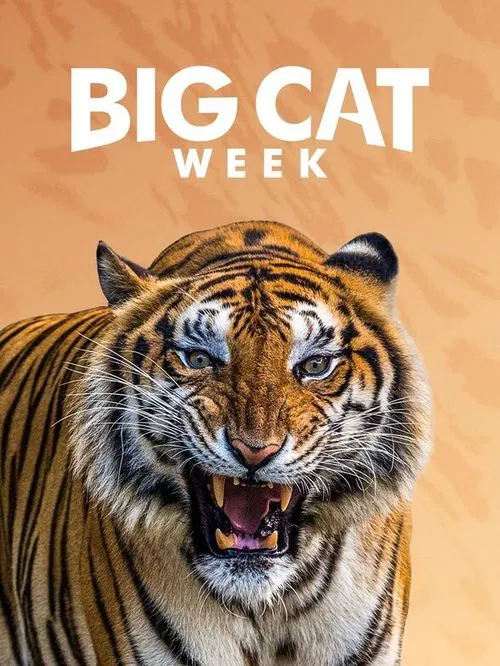 Big Cat Diary tv show poster