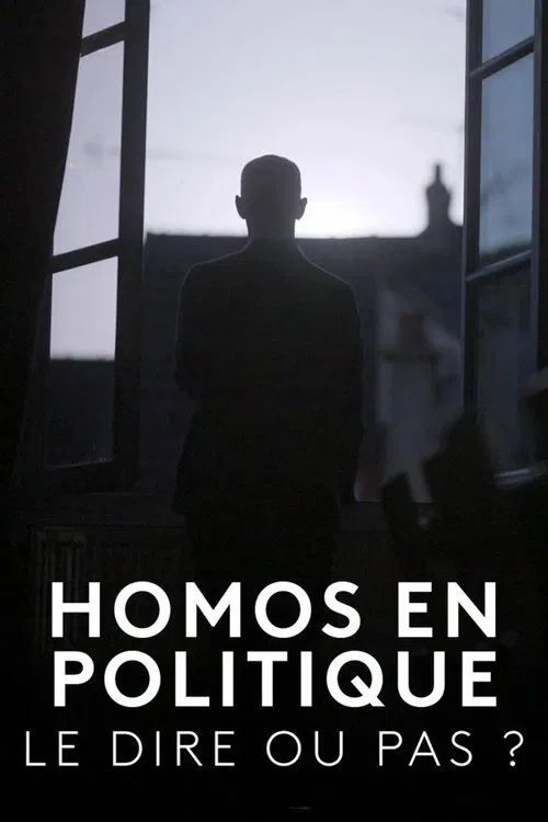 Homos en politique, le dire ou pas ? movie poster