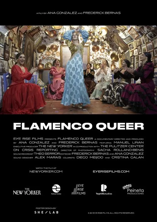 Poster do filme Flamenco Queer