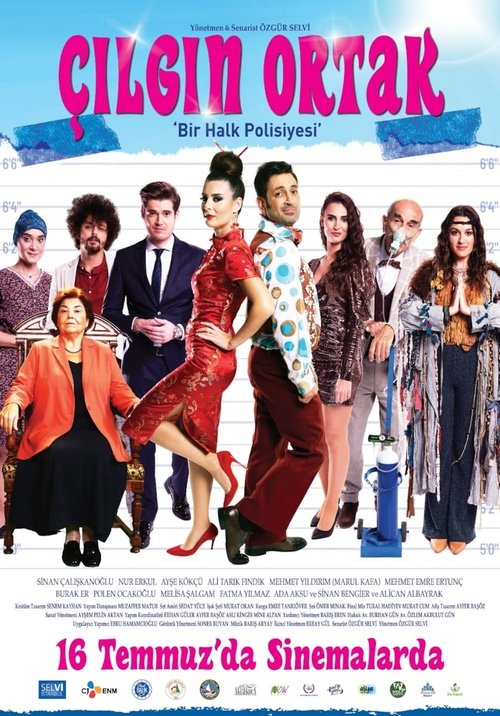Çılgın Ortak movie poster