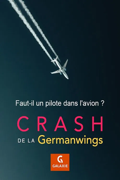 Faut-il un pilote dans l'avion ? movie poster