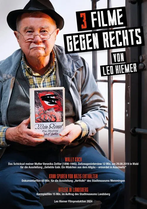 3 Filme gegen Rechts movie poster