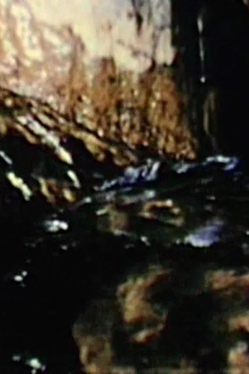 Variations on a Theme movie poster