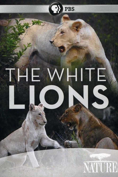 The White Lions movie poster