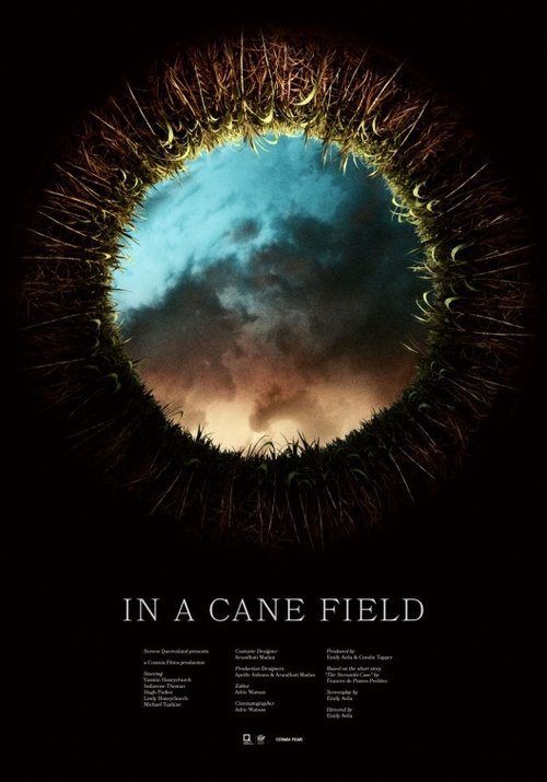 Poster do filme In a Cane Field