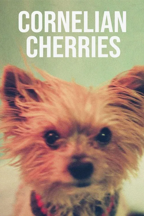 Cornelian Cherries movie poster