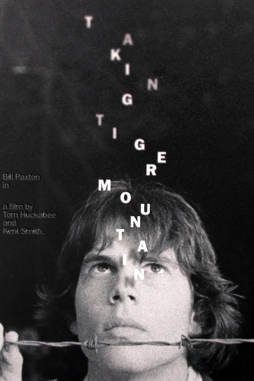 Taking Tiger Mountain movie poster