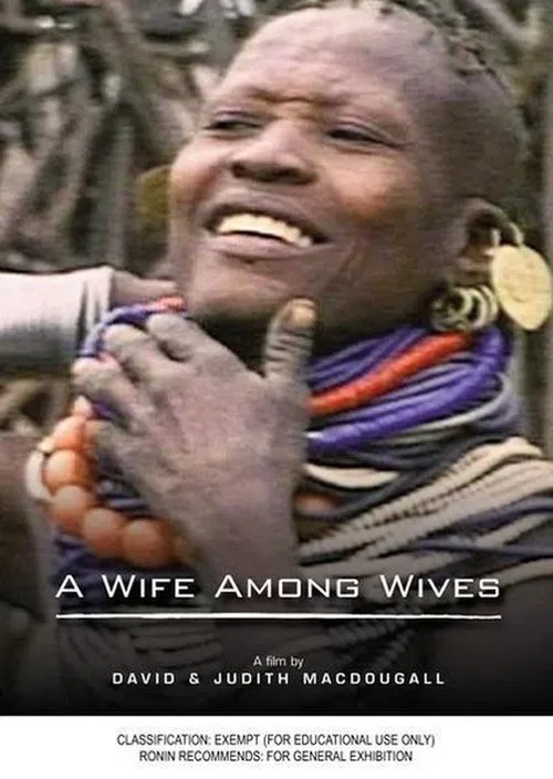 A Wife Among Wives movie poster