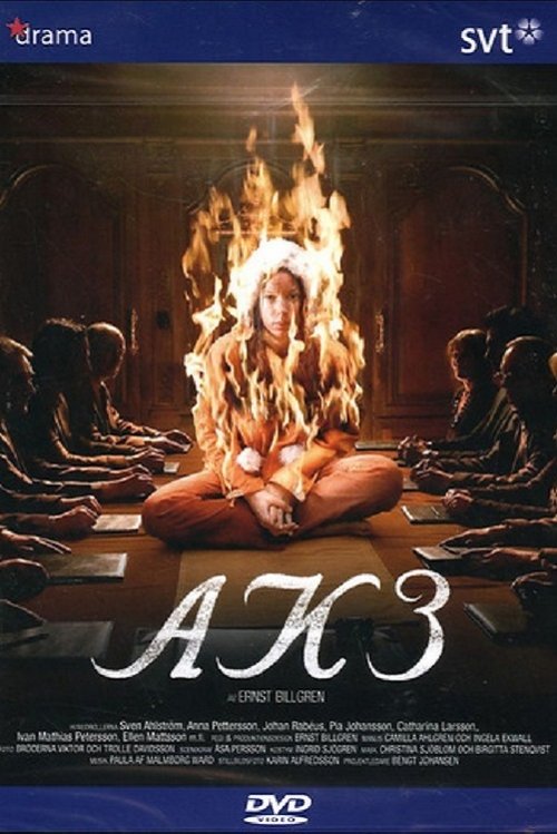 AK3 - Dolda beslut movie poster