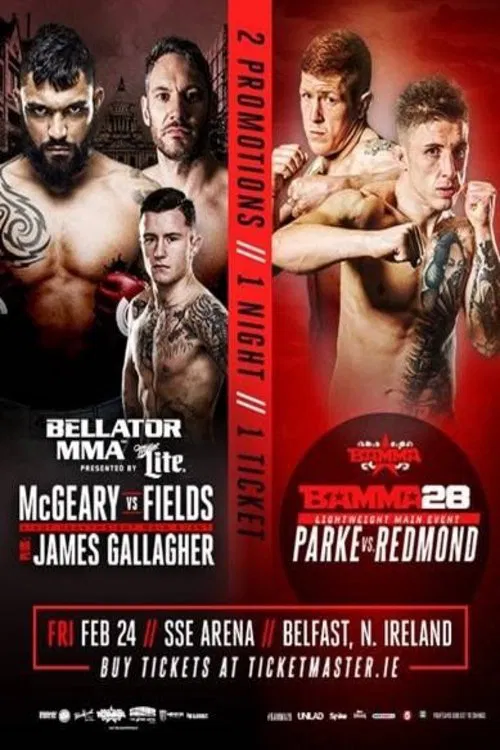 Bellator 173: McGeary vs. McDermott movie poster