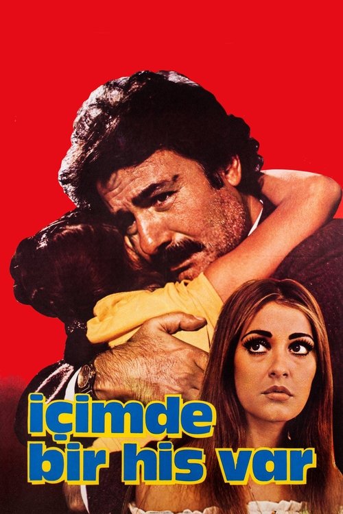 İçimde Bir His Var movie poster
