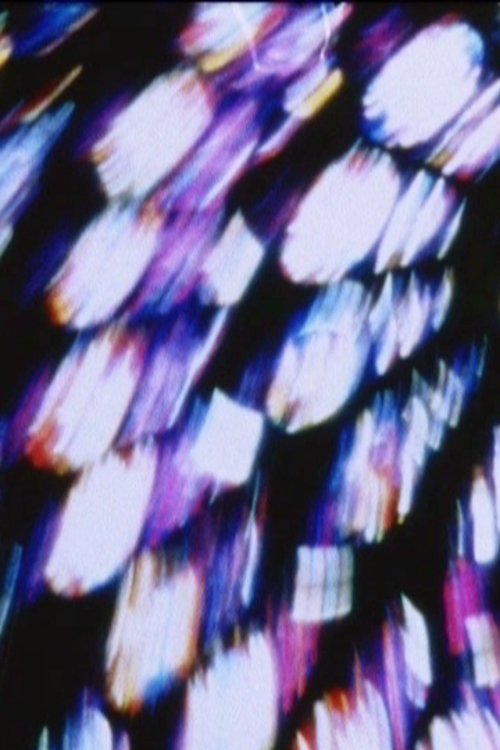 Deperdition Lointaine movie poster